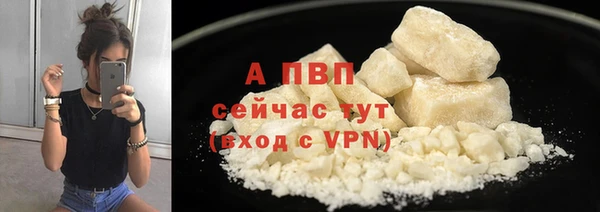 дживик Переславль-Залесский