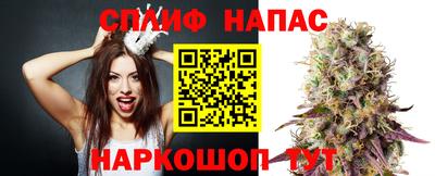 кокс Обь