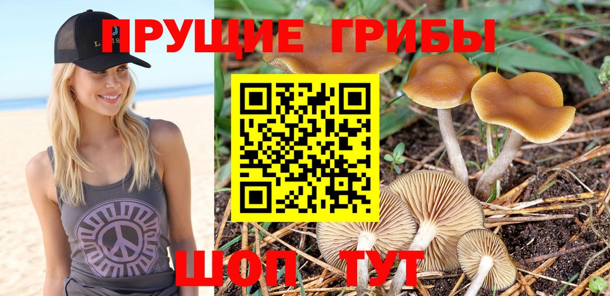 Псилоцибиновые грибы мухоморы Пермь