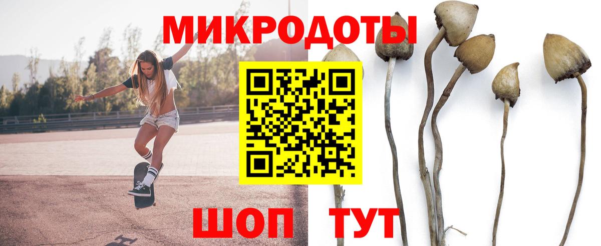 Пермь  Галлюциногенные грибы мухоморы  Вход с VPN 